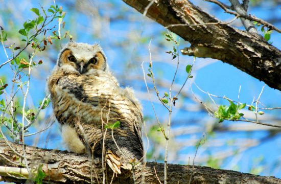 Goshen County Photographer