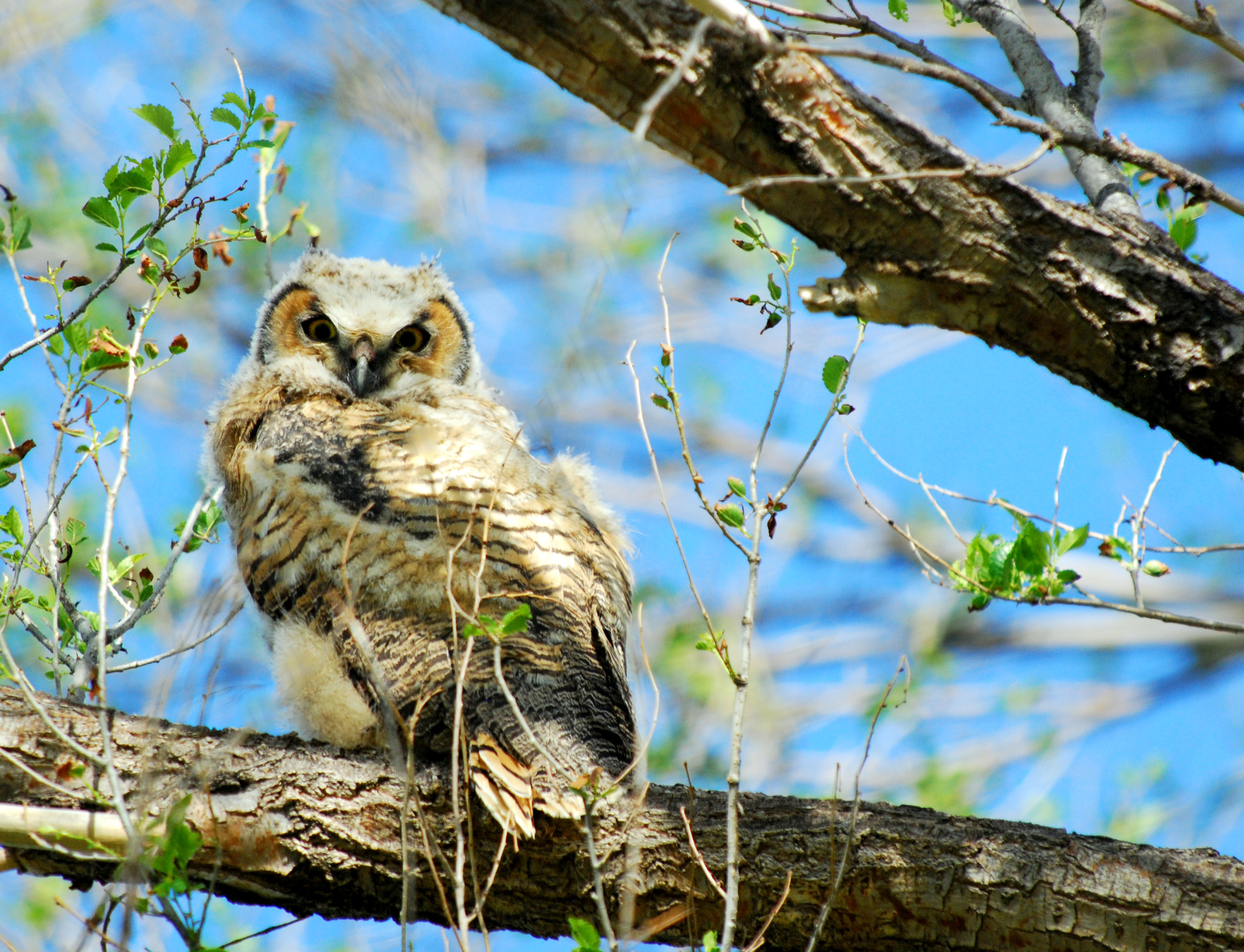 Goshen County Photographer