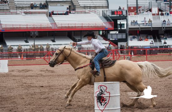 Torrington Wyoming Rodeo Photographer, CFD Junior Barrels
