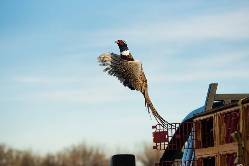 Photographers in Torrington and Goshen County Wyoming