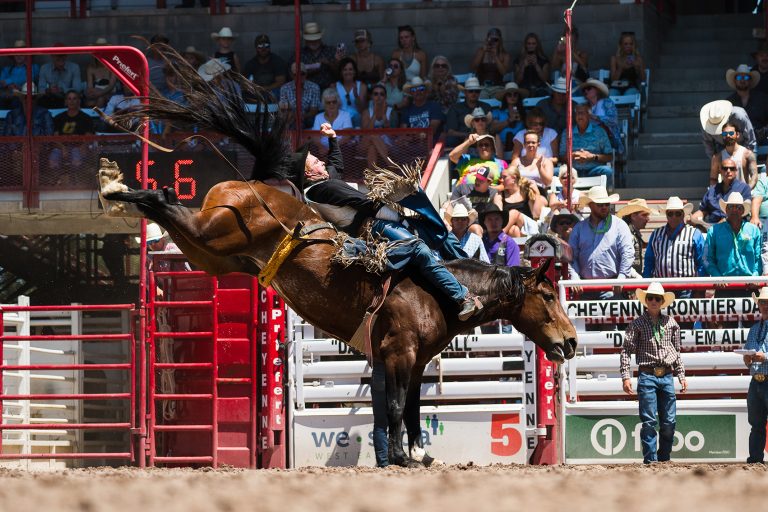 Saddle Bronc Rider at Cheyenne Frontier Days