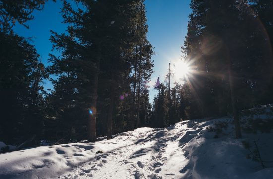 Wyoming Photographer