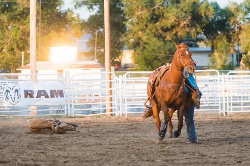 Wyoming Rodeo and Western Photographer
