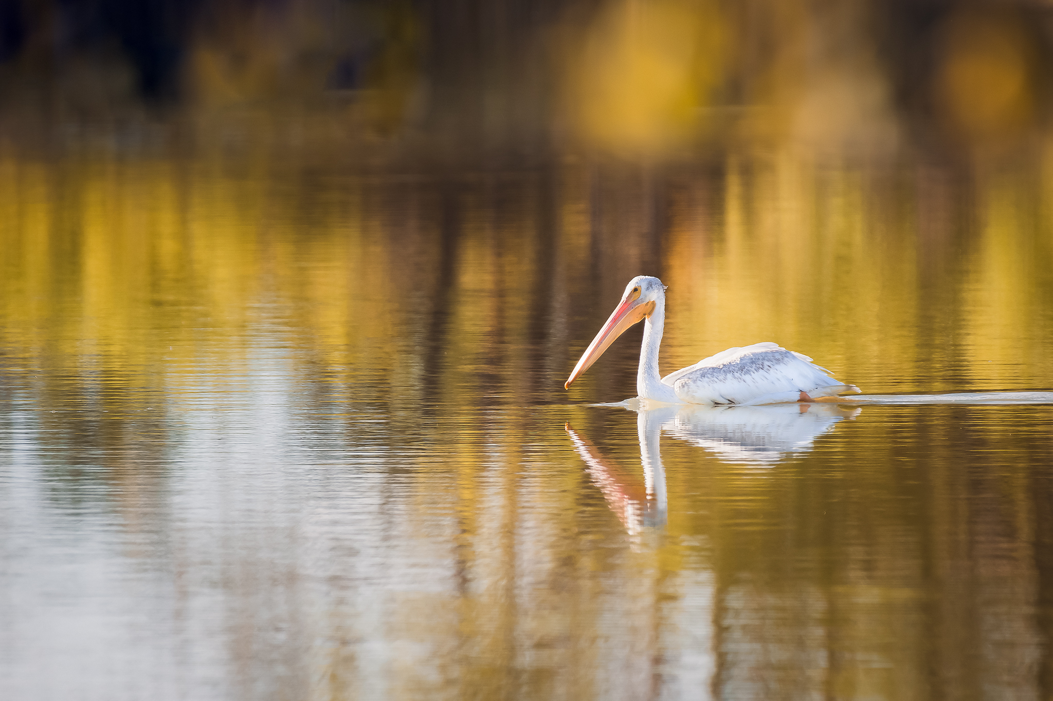 Yoder Wyoming Photographer