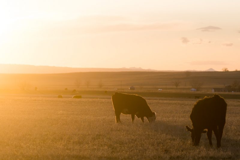 Wyoming Landscape Photography