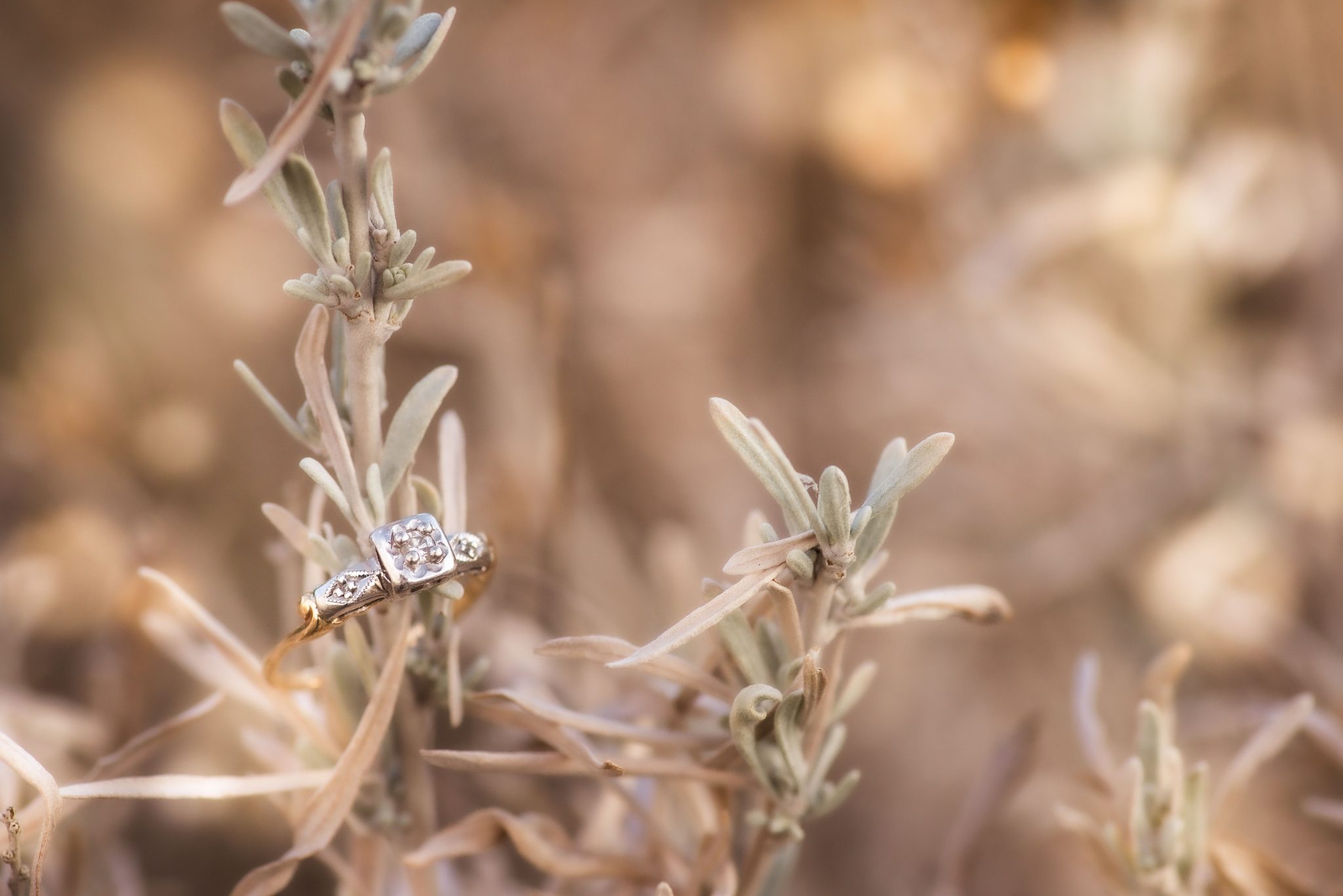 Goshen County Wedding Photographer
