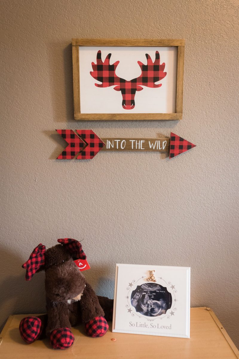 Lifestyle Newborn Photographer - Wheatland Wyoming