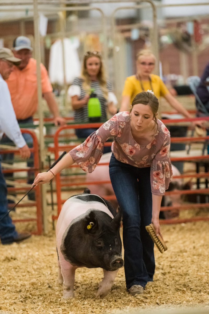 Fair-Photographer-Wyoming