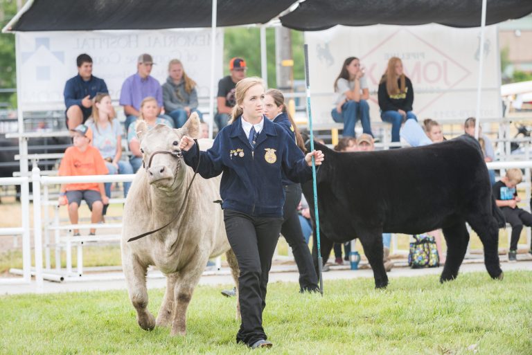 Livestock-Show-Photos-Wyoming-Colorado